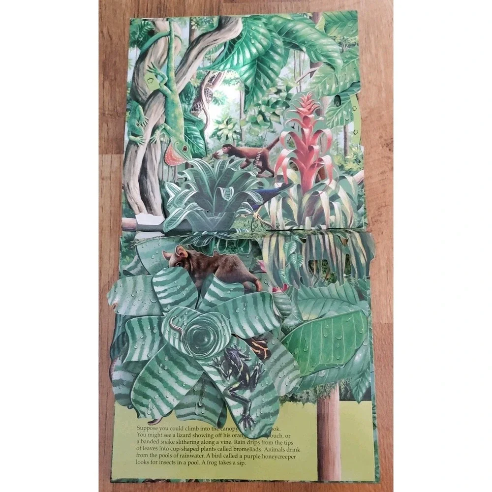 Pop-Up: Explore a Tropical Forest by Peggy D.‎ Winston (1989, Hardcover Vintage)